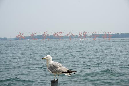 速热水龙头哪个牌子好(实测海尔等25款电热水龙头，近三成不安全，都来自电商)
