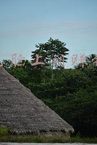玩电脑赚钱(盘点10个靠作品赚钱的平台：一部手机一台电脑开启你的创业之路)