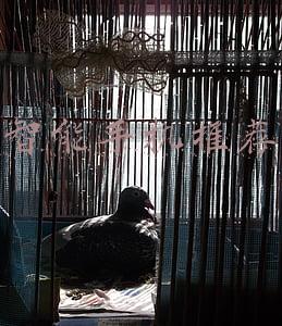 老人用的智能手机推荐(盘点2021各价位段，最适合长辈用的手机，重阳节敬老送这些准没错)