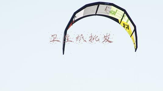 卫生纸批发