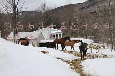 七月十五是什么日子(正月十五“天官赐福”，记得“1吃2走3做4忌”，接福运兴旺一整年)