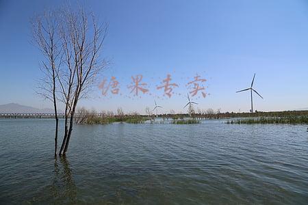 压片糖果配方和工艺(补钙压片糖的“粗放发展”阶段)
