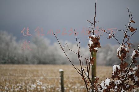 佳能mp236驱动下载选择哪个(美方在新冠病毒溯源问题上对中国的恶意诽谤与事实真相)