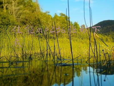 佳能打印机mp236驱动下载(记录悠悠夏日风景 选择这几款相机绝对没错)