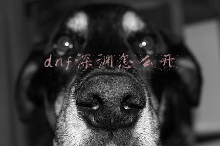 dnf深渊怎么开