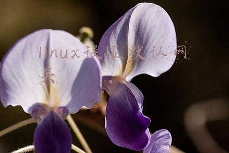 linux设置网关命令(4 种在 Linux 中检查默认网关或者路由器 IP 地址的方法)