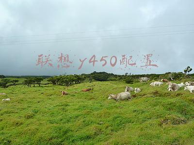 联想y450配置