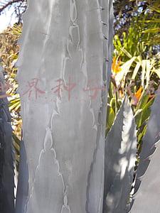 我的世界种子代码大全