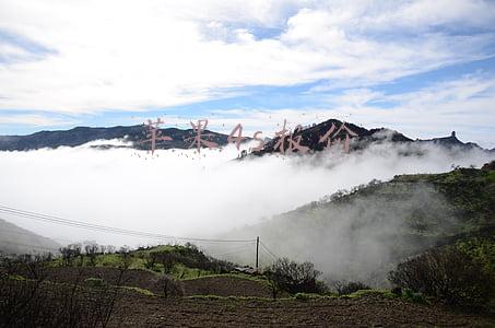 苹果4s报价
