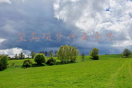 望其项背什么意思