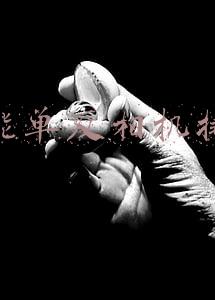 佳能单反相机排名