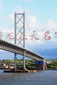 御龙在天名字