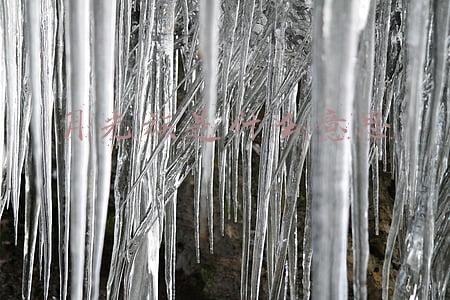 月光族是什么意思