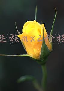 魅族mx2发布价格(魅族MX2下周一开始促销 直降300售价1299元)