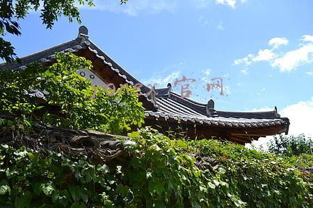Yonex官网(4批次羽毛球产品国抽不合格，知名品牌尤尼克斯上榜)