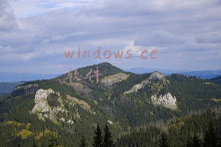 windows ce软件