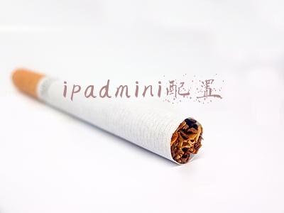 ipadmini配置
