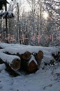 自驾租车神州租车