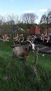美赞臣奶粉的价格
