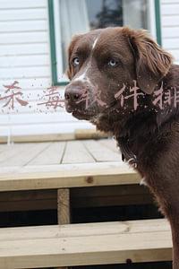 手机杀毒软件排行2013
