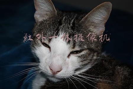 红外一体摄像机