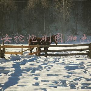 女枪炮刷图加点2022(DNF女大枪90刷图加点最新加点框架推荐)