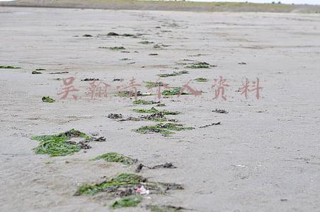吴翰清个人资料