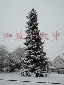 想加盟早教中心