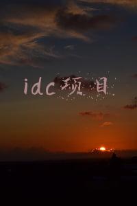 idc项目