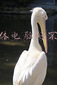一体机电脑好不好用(一体机的优缺点)