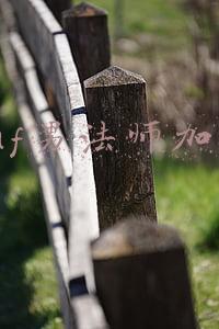 dnf男法师元素技能加点(传奇3手游人物加点详解)