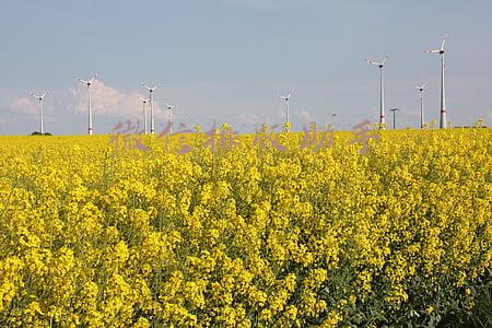 微信排版工具(微信公众号营销：最常用的文章排版编辑器)