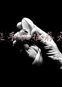智能手机推荐天语