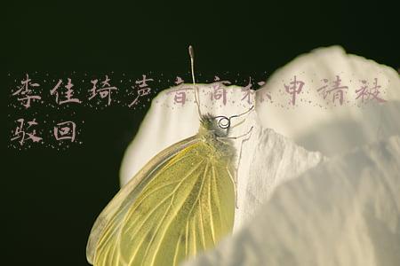 李佳琦声音商标申请被驳回