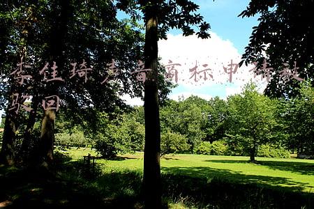 李佳琦申请声音知识产权(李佳琦申请声音商标称防恶意使用，被驳回！律师：缺乏显著性)