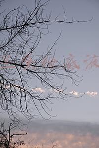 雅诗兰黛粉底液好吗