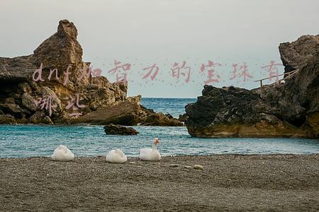 dnf加智力的宝珠有哪些