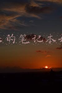 苹果的笔记本好吗