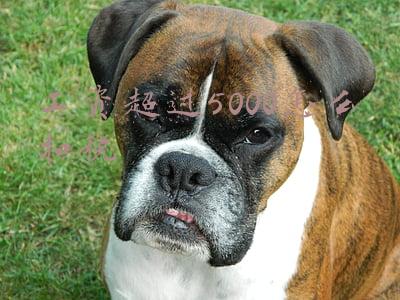 工资6000怎么扣税(工资6000元，五险一金需要交掉多少钱？缴费工资基数怎么确定？)