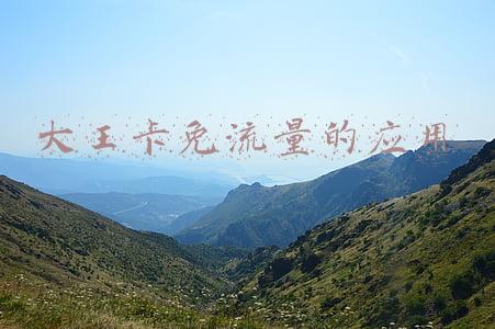 大王卡免流量的应用