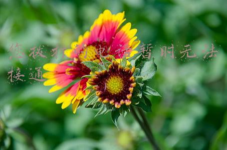 您拨打的电话暂时无法接通