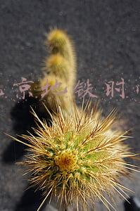 北京地铁时间