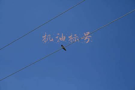 机油标号对照表(机油那么多标号都是什么意思？不明白就来看看吧)