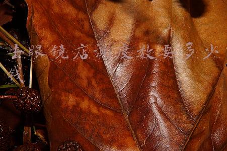 去医院测眼睛度数多少钱_去眼镜店测度数要多少钱不配镜