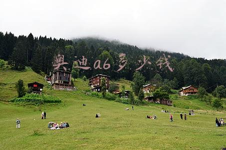奥迪a6多少钱