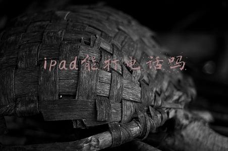 ipad能打电话吗
