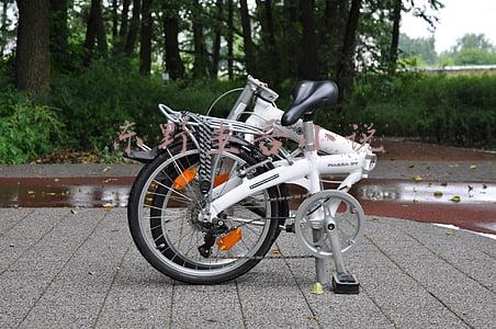 东野圭吾小说