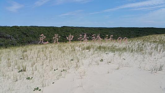 免费申请腾讯大王卡入口(教你免费申请腾讯大王卡，人人都能免费申请！)