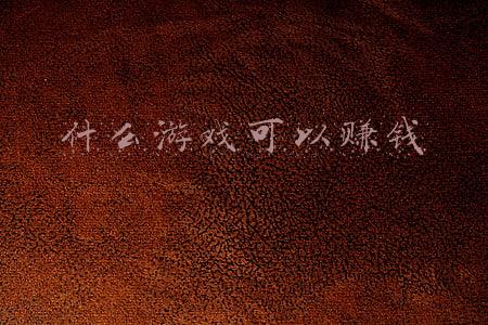 什么游戏可以赚钱