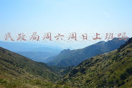 民政局周六周日上班吗